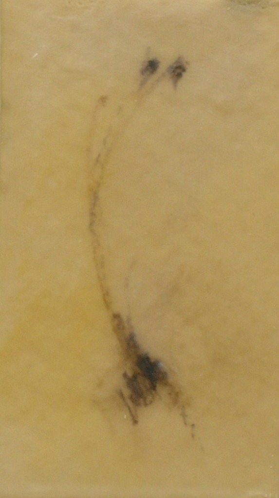 cuaderno-apuntes-alberto-reina