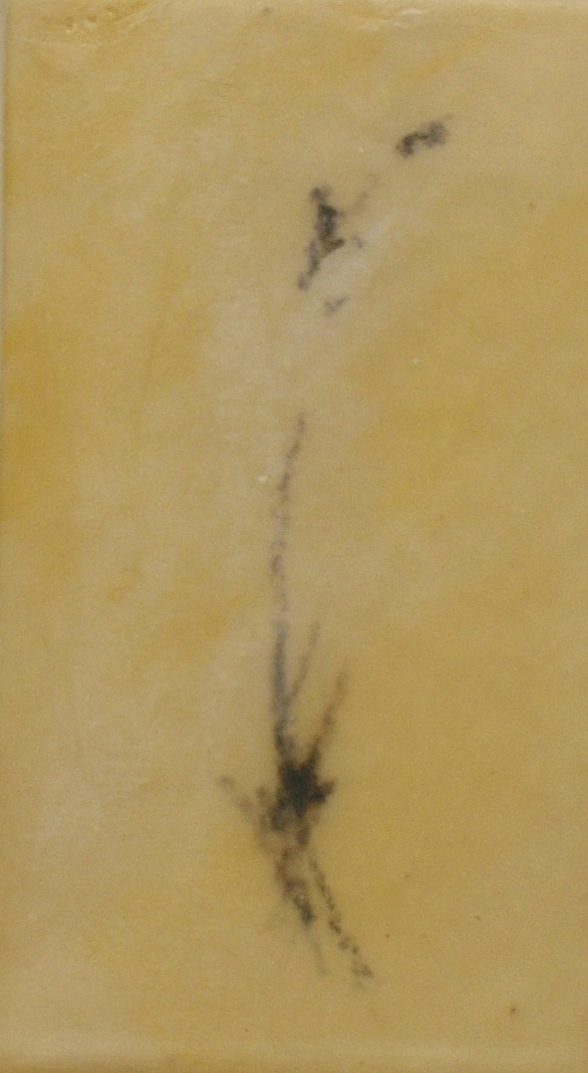 cuaderno-apuntes-alberto-reina