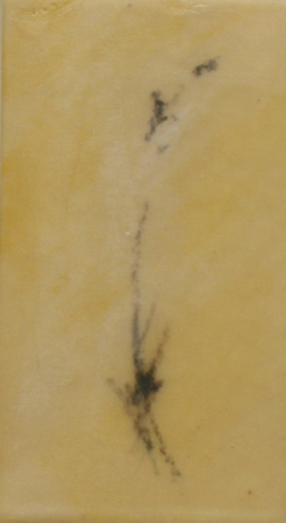 cuaderno-apuntes-alberto-reina