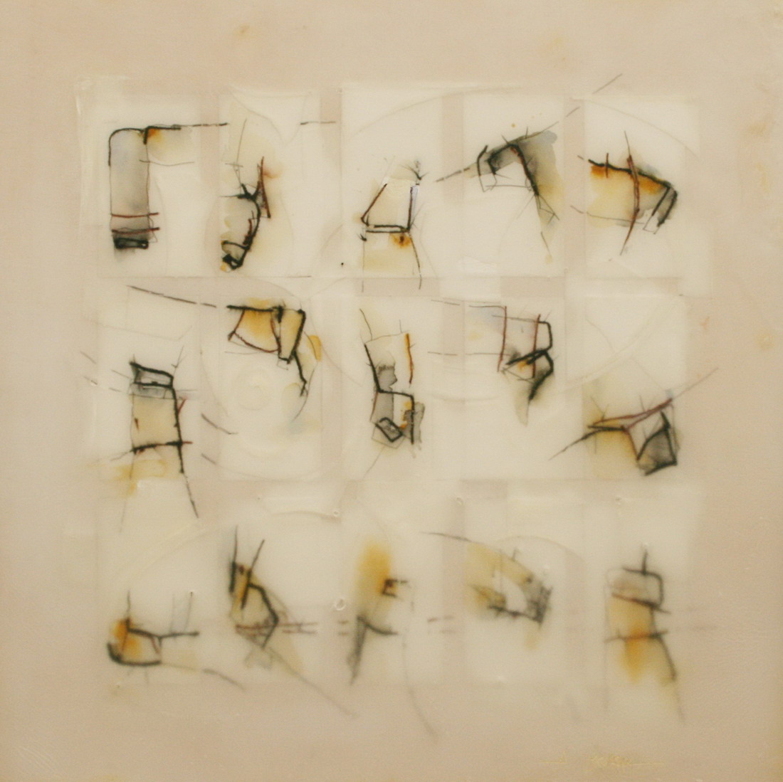 rara-especie-alberto-reina-blanca