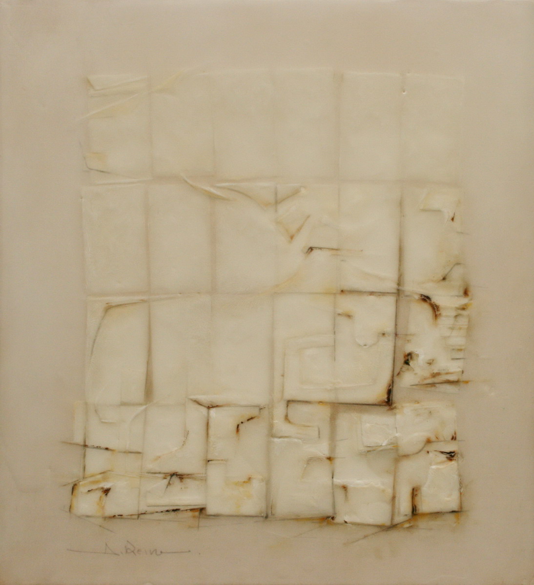 rara-especie-alberto-reina-blanca