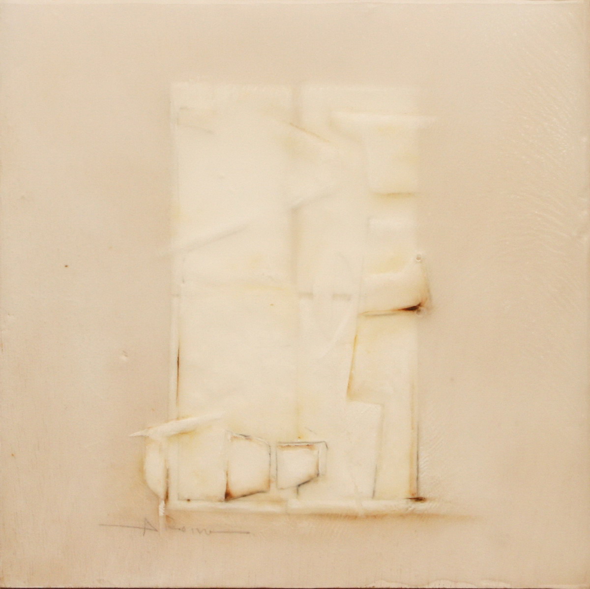 rara-especie-alberto-reina-blanca