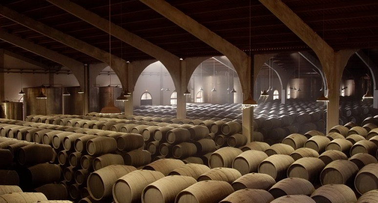 Bodega Real Tesoro & Valdespino 02-cosimo-alberto-reina