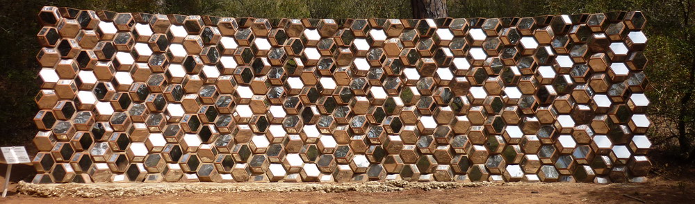 03-cosimo-alberto-reina