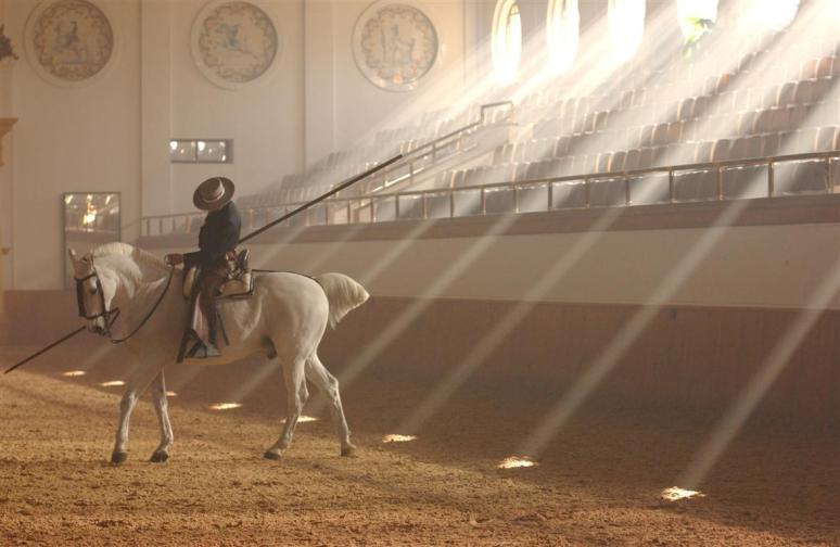 Real Escuela Andaluza de Arte Ecuestre. Jerez de la Fra. cosimo-alberto-reina