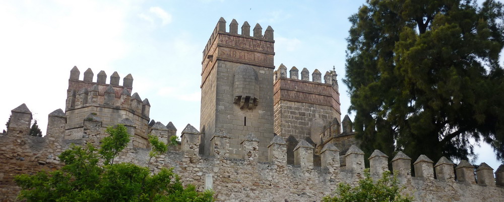 cosimo-alberto-reina