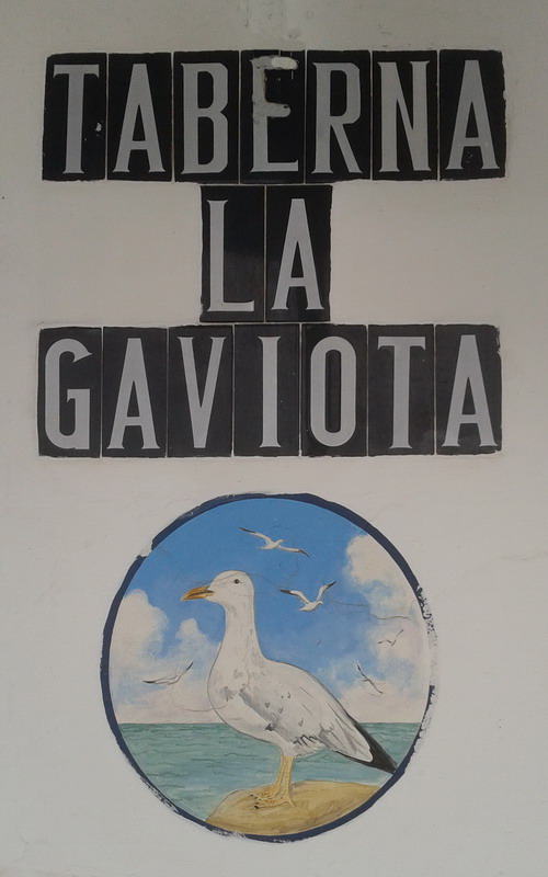 cosimo-alberto-reina