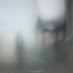 elogio-sombra-alberto-reina