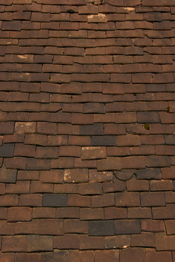 artwave-2013-alberto-reina