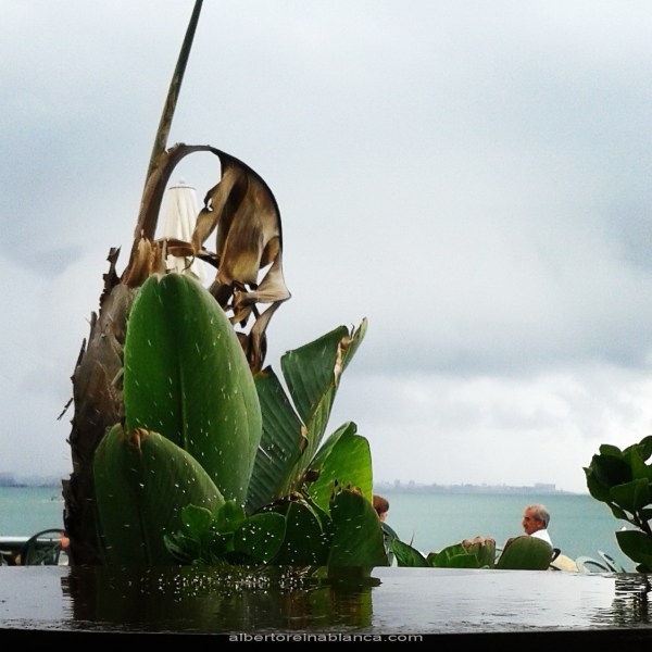 14/06/2015 Últimas lluvias en la Bahía de Cádiz