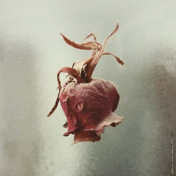 2015-02-14 relicario