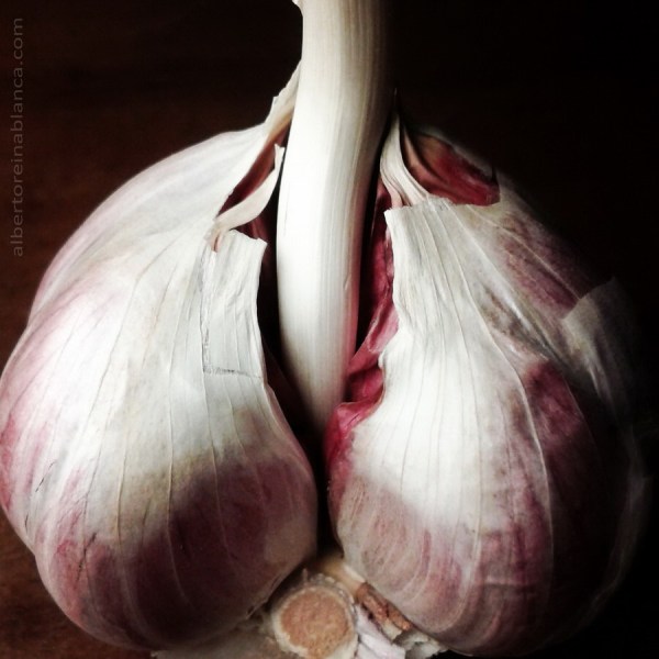 2015-10-01 ajo color