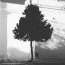 Villafranca de los Barros (Badajoz) 2015-12-02