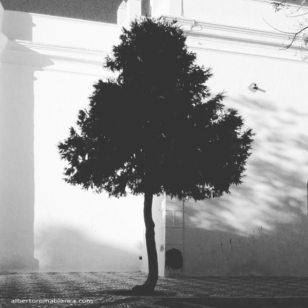 Villafranca de los Barros (Badajoz) 2015-12-02