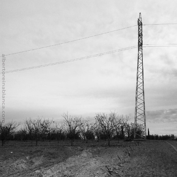 Villafranca de los Barros (Badajoz) 2015-12-17