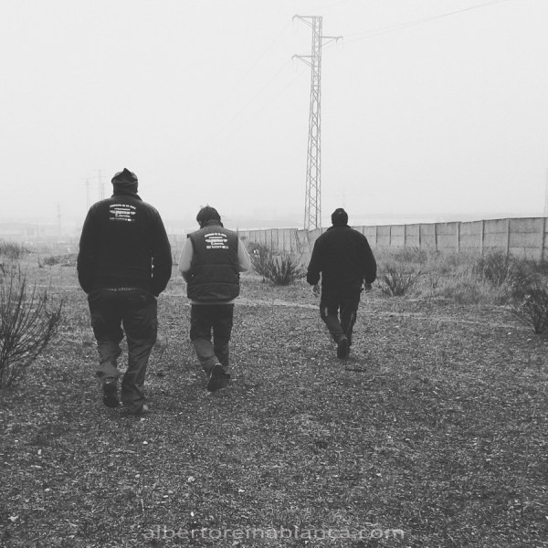 ¡Al tajo! Villafranca de los Barros (Badajoz) 2016-01-27