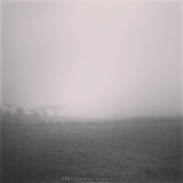 La niebla. Villafranca de los Barros (Badajoz) 2016-01-27