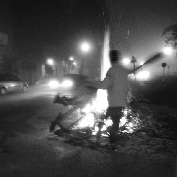 Candelorias I. Villafranca de los Barros (Badajoz) 2016-02-02