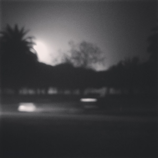 El parque. Villafranca de los Barros (Badajoz) 2016-02-02