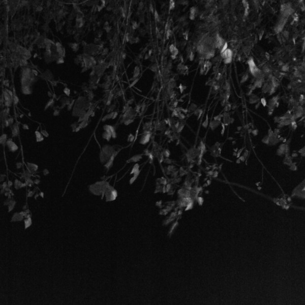 Levantera. El Puerto de santa maría (Cádiz) 2016-08-06