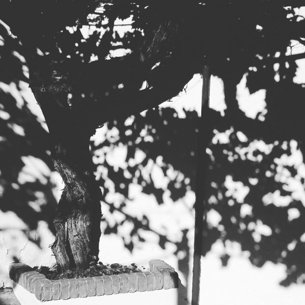 balneario de alange (Badajoz) 2016-08-28