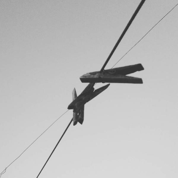 Solo pinzas. Villafranca de los barros (badajoz) 2016-09-20