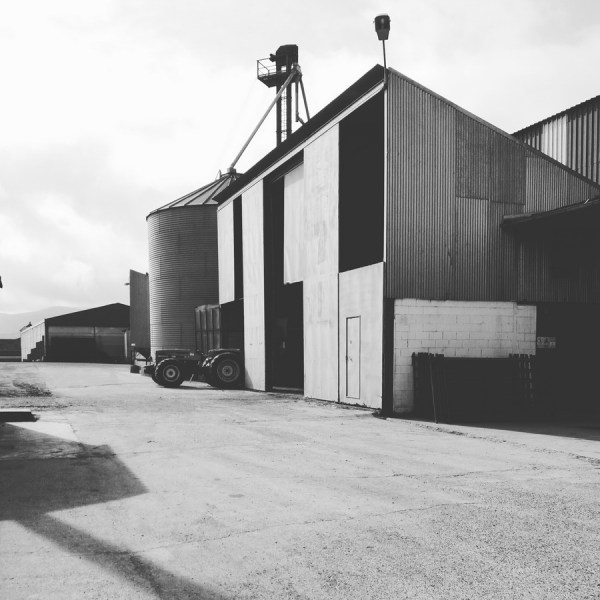 cooperativa san insidro. monesterio (badajoz) 2017-02-03