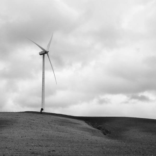 Los badalejos (Cádiz) 2017-02-04