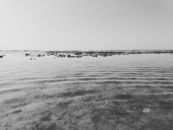 playa de cortadura (cádiz) 2017-09-08