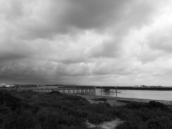 Río san pedro, el puerto de santa maría (cádiz) 2018-02-25