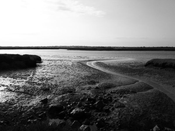 salina san josé 1. el puerto de santa maría (cádiz)2018-09-08