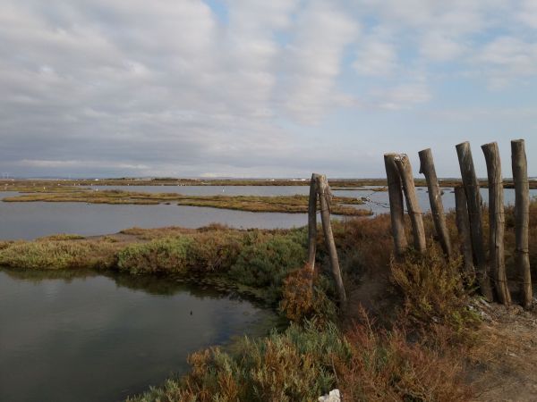 salina san josé 2. el puerto de santa maría (cádiz ) 2018-09-08