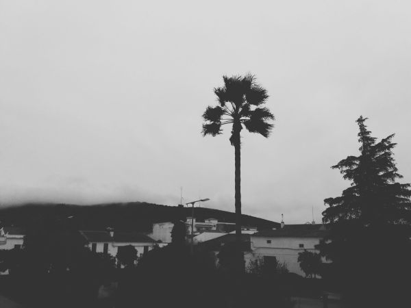 llerena (badajoz) 3 2018-11-22