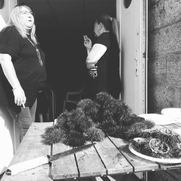 erizos en la caleta. cádiz 2019-02-10