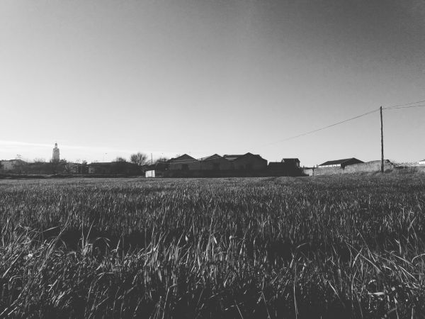 Campos. llerena (badajoz) 2019-02-26