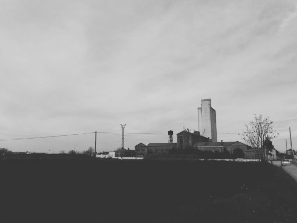 fabrica de harina II. llerena (badajoz) 2019-02-27