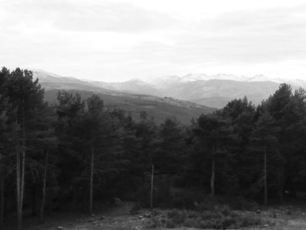 Sierra de gredos. ávila 2019-03-01