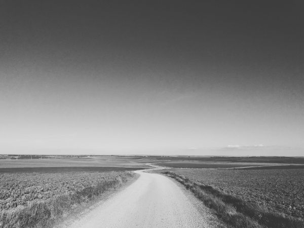 caminos campiña sur. llerena (Badajoz) 2019-03-12